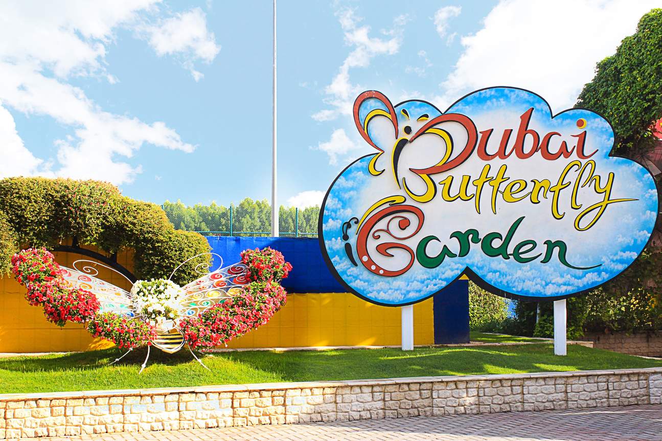Dubai Butterfly Garden